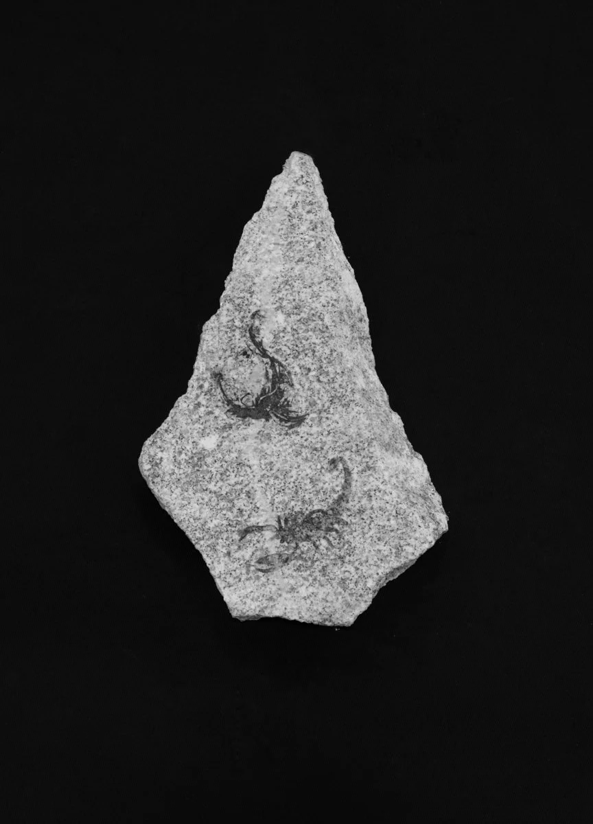 border_rocks -18.jpg