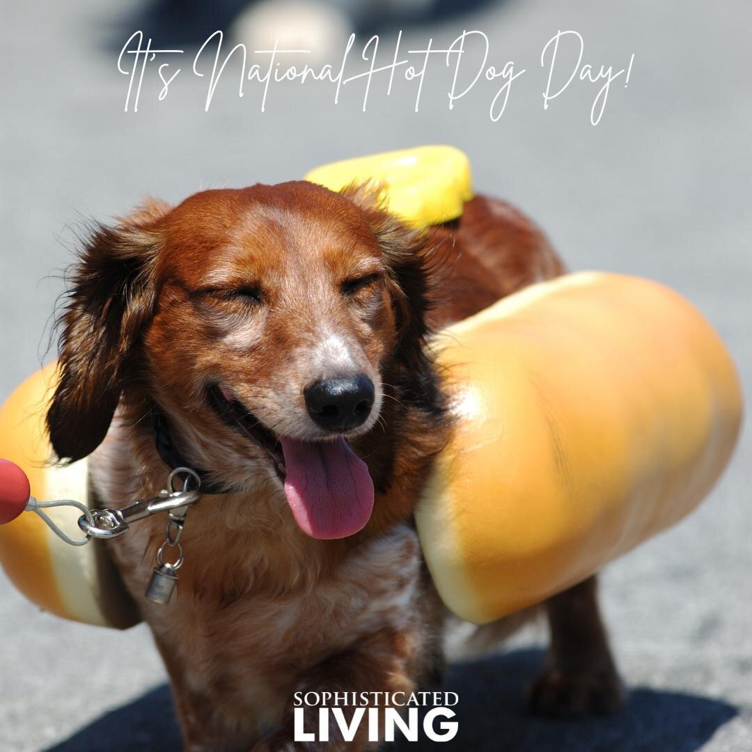 It's National Hot Dog Day!⁠
⁠
⁠
#sophisticatedliving_nashville