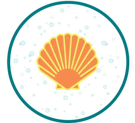 Scallop+in+Circle.png (Copy)