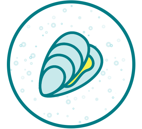 Oyster+in+Circle.png (Copy)