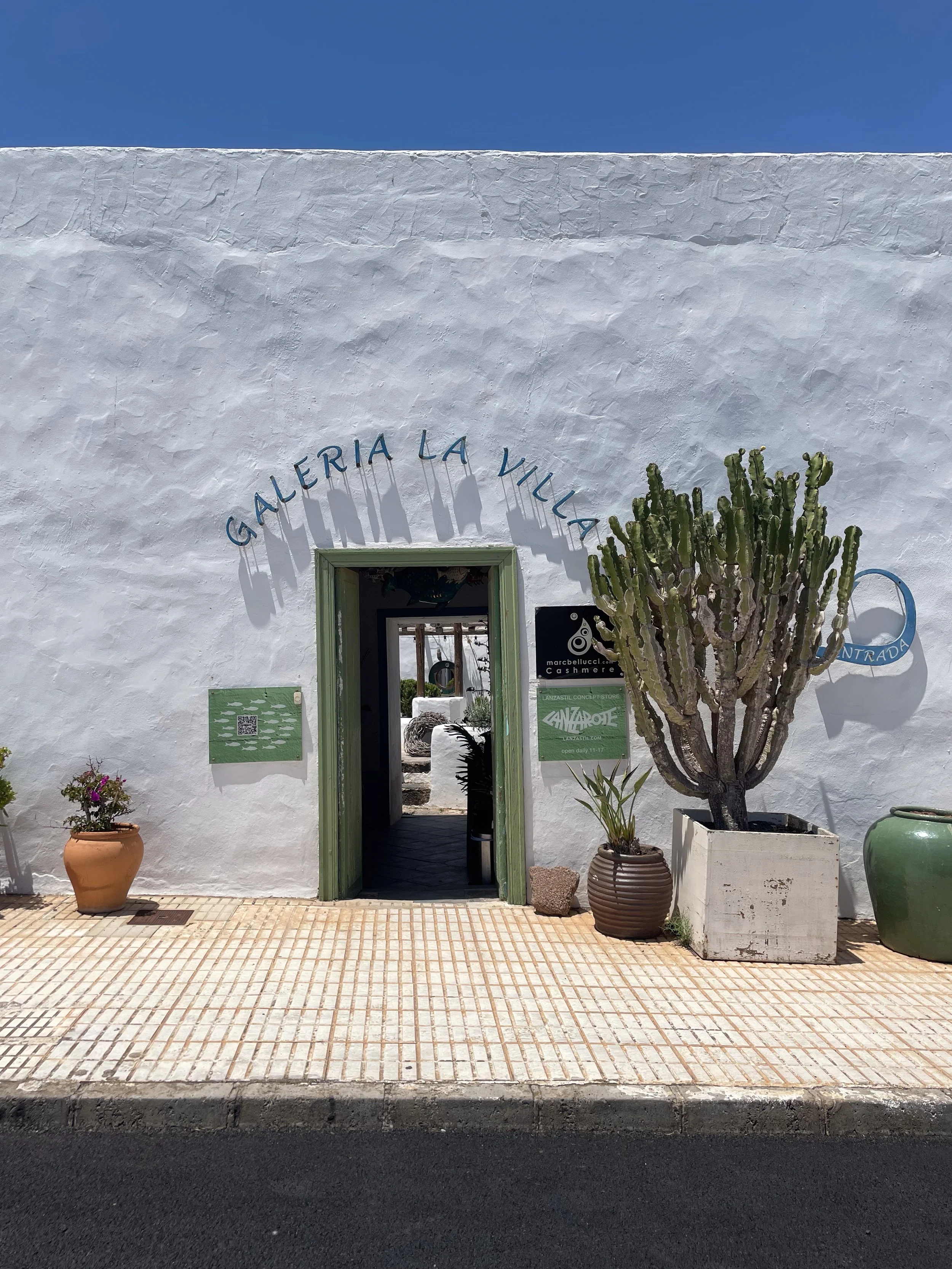 Lanzarote 2025  ©Stephanie Jabardo-001.jpg