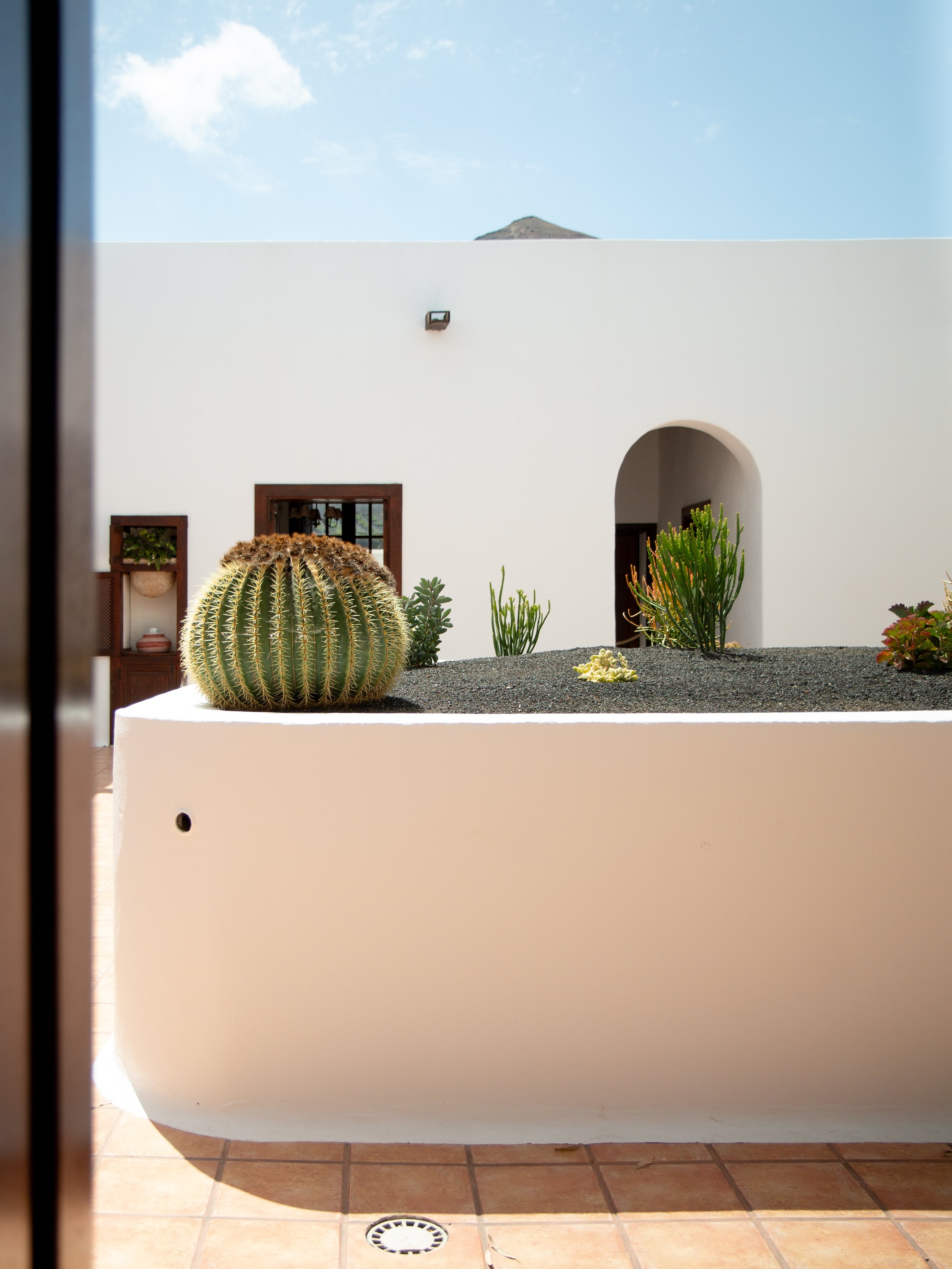 Lanzarote 2025  ©Stephanie Jabardo-012.jpg