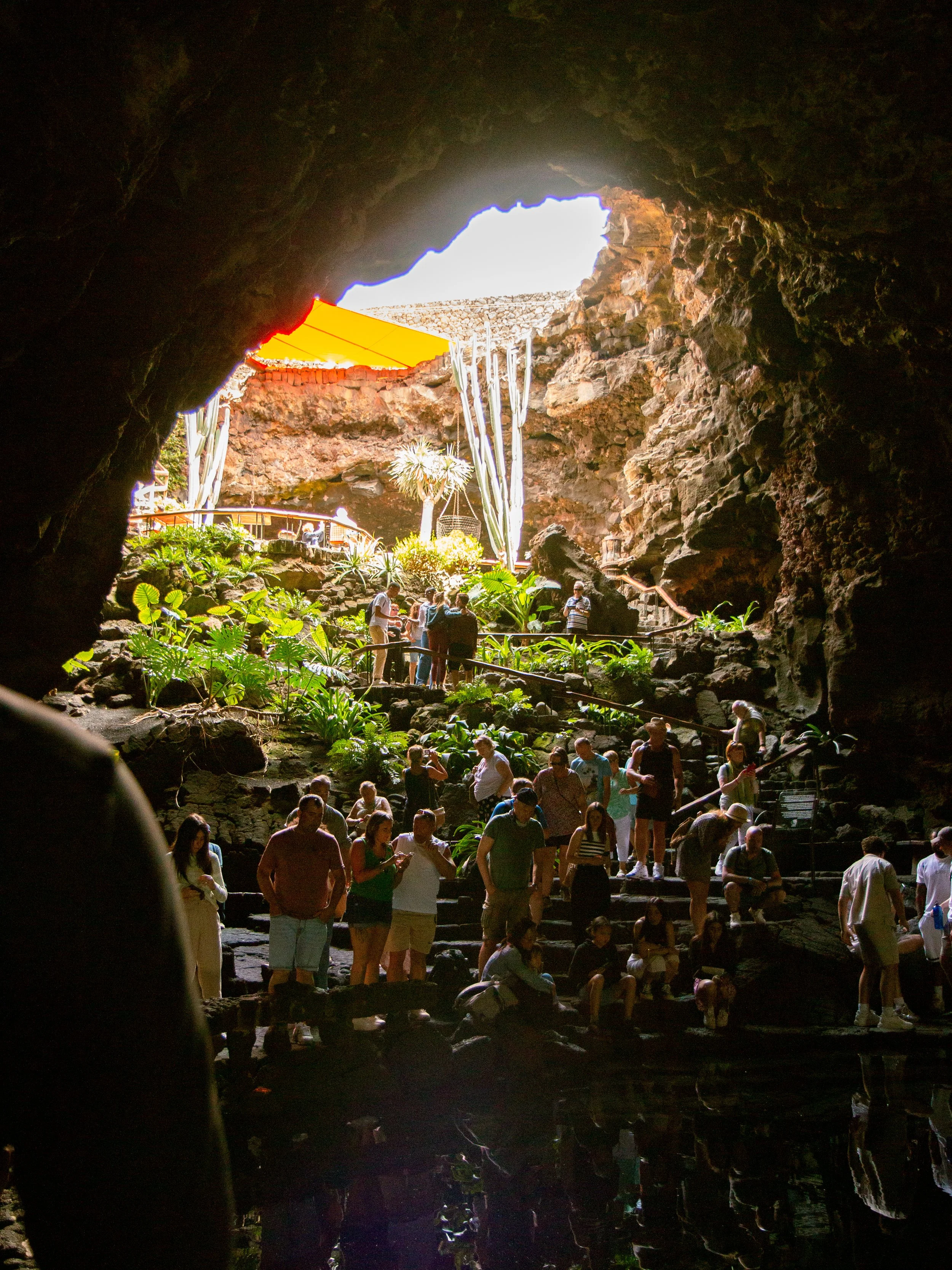 Lanzarote 2025  ©Stephanie Jabardo-101.jpg