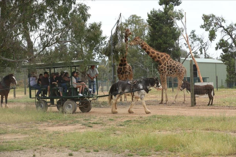 Altina Wildlife Park