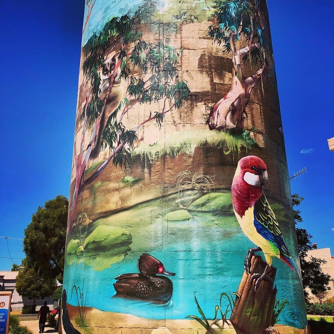 ​Isn't she a beauty? 🙌&nbsp;@kimwoods1963 captured the Lockhart Water Tower on a recent visit, and it's sure to catch your eye too! You'll see all kinds of natives in the incredibly detailed artwork by @scottnagyartist and @krimsone including a rose