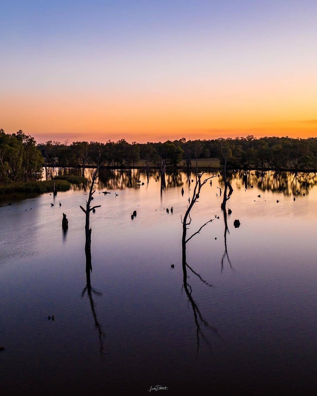 The Narrandera Wetlands might be the perfect place for twitchers (aka birdwatchers) to seek out native birdlife, but it's also a great spot to capture incredible sunsets - just ask @vivid_divine_clicks who shared this shot from a recent visit&nbsp;🙌