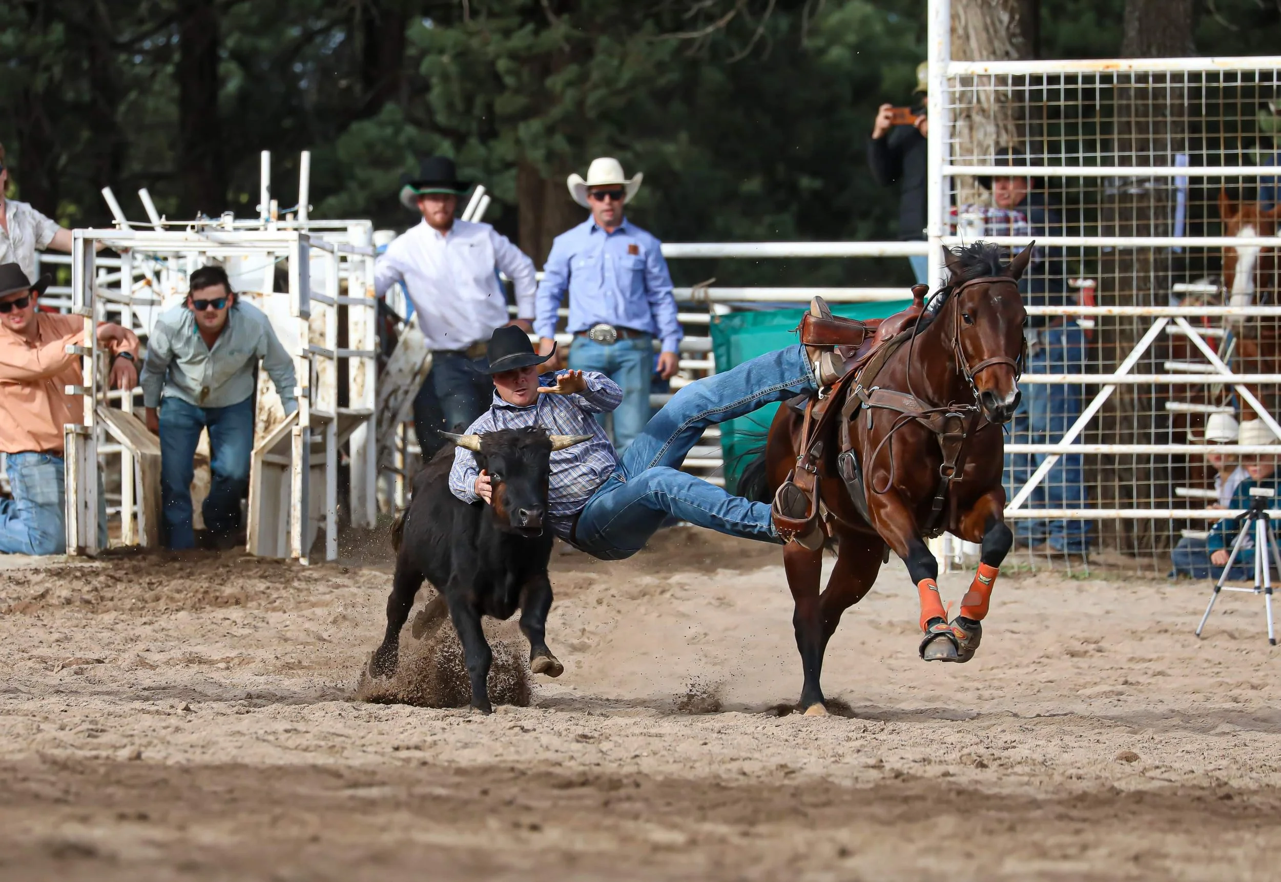 Summer on the Murrumbidgee ☀️