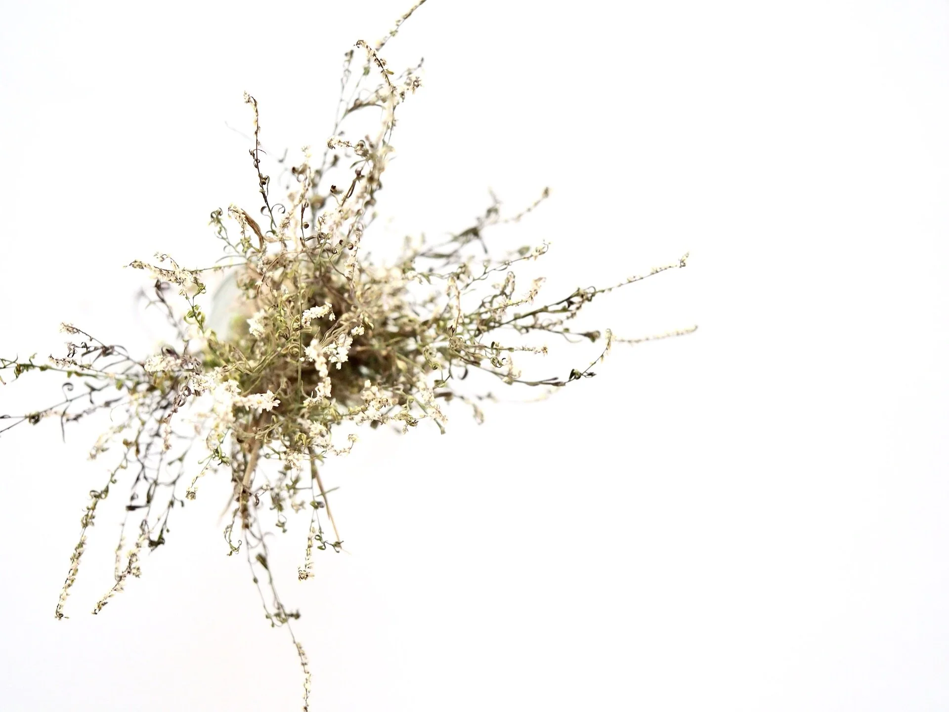 Jess Bailey Homepage Banner Image 5.JPG