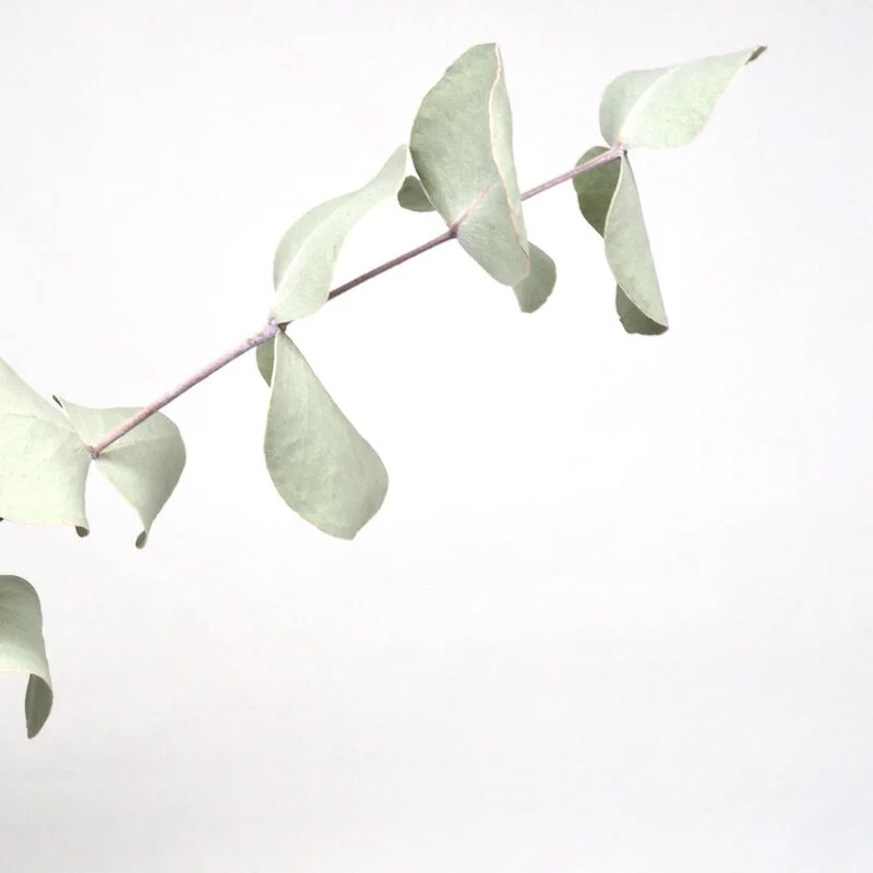 Jess Bailey Design Homepage Square Image 28.JPG