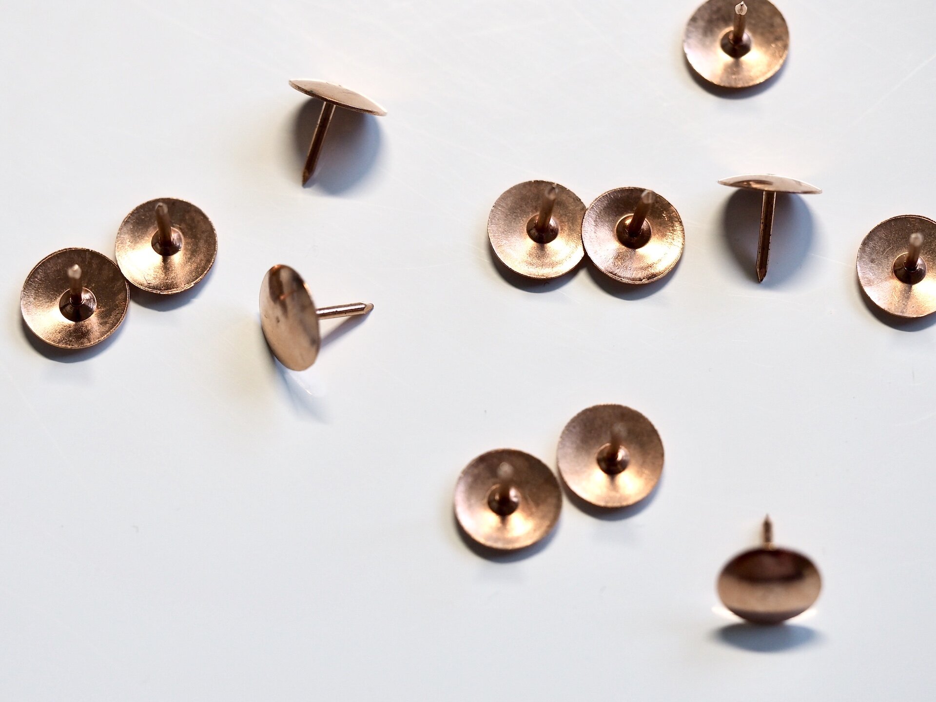 Homepage Banner Image Jess Bailey 3.JPG