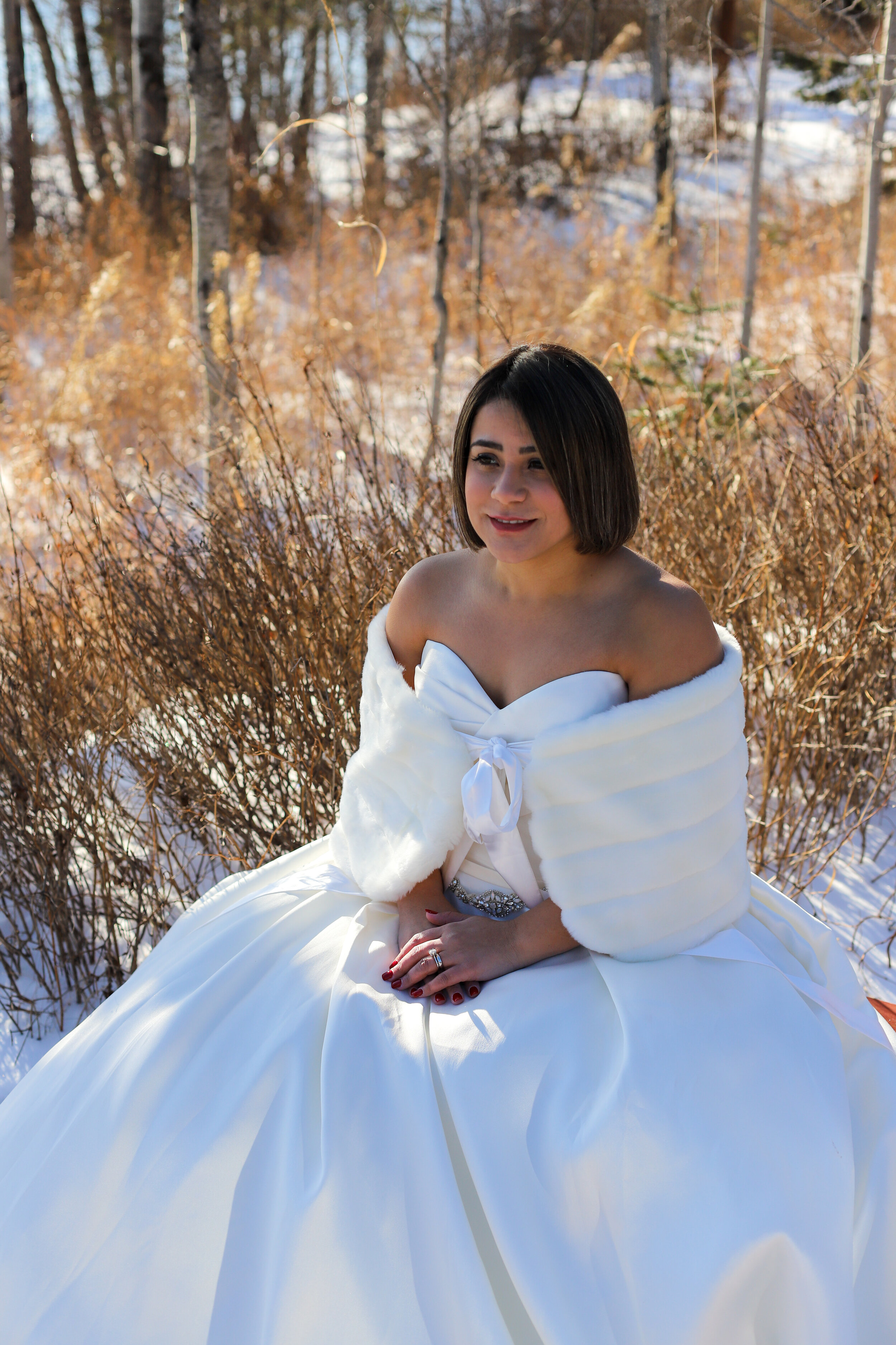Grand Marais Bridal Photoshoot
