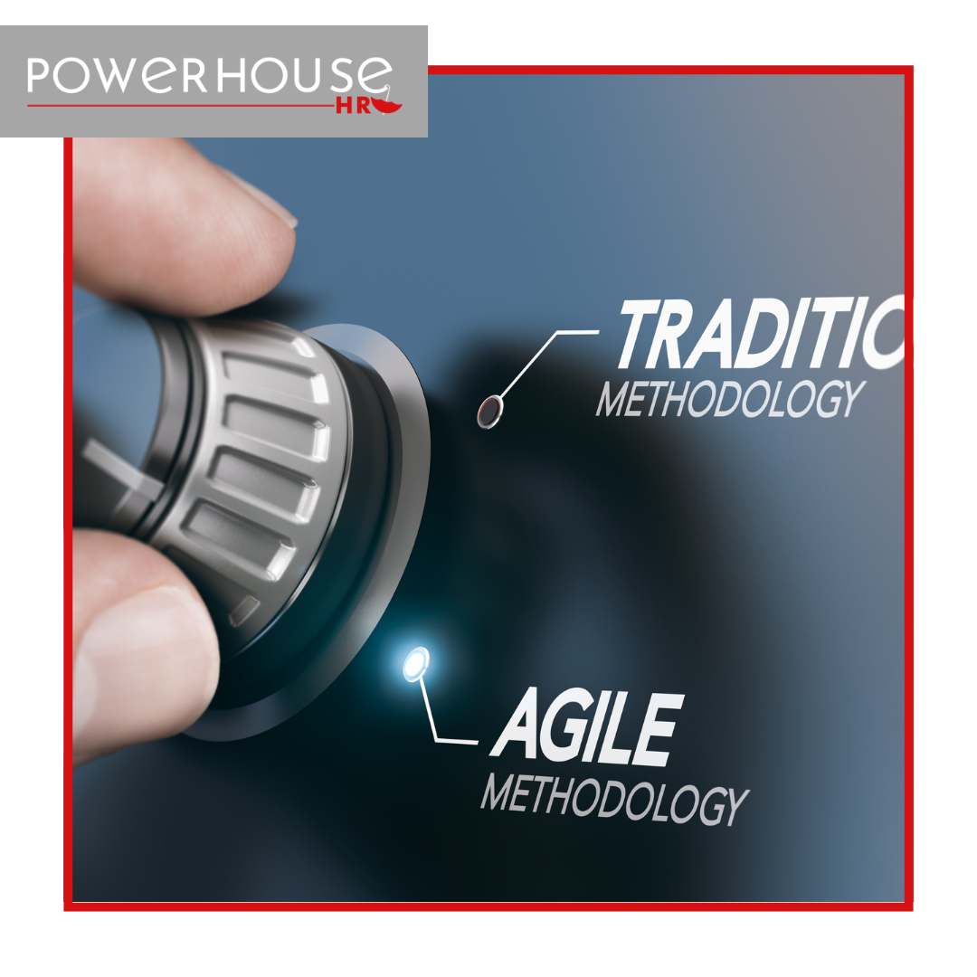 Six Ways to Build an Agile Organization