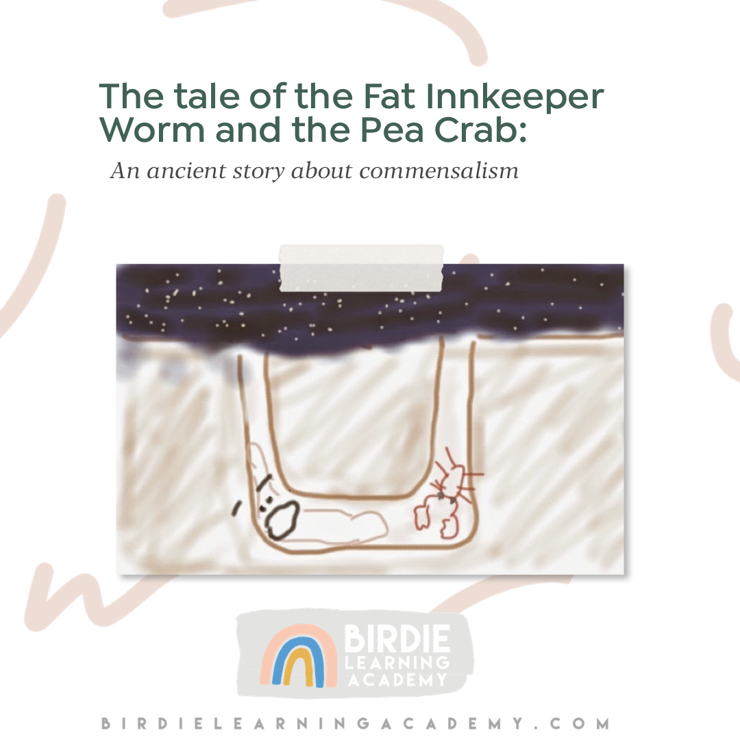 THE TALE OF THE FAT INNKEEPER WORM AND THE PEA CRAB: An ancient story ...