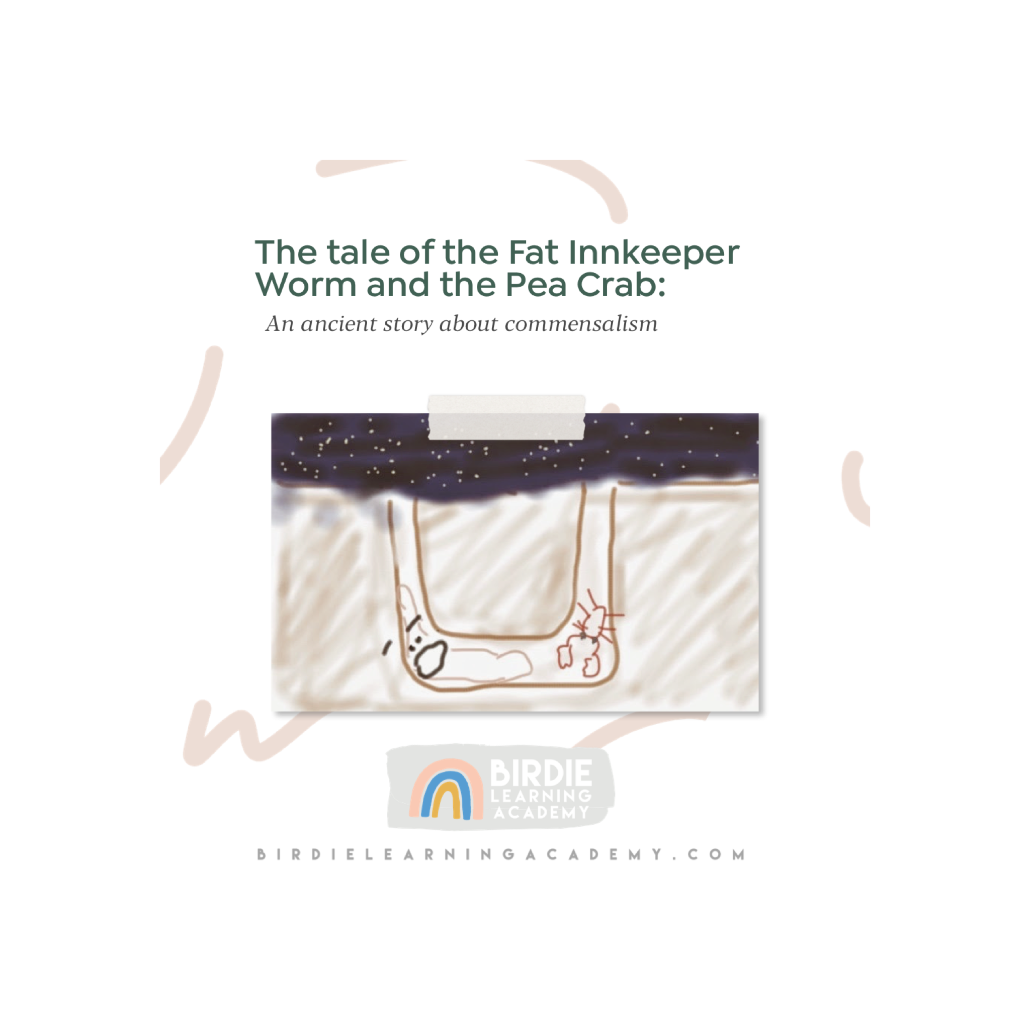 THE TALE OF THE FAT INNKEEPER WORM AND THE PEA CRAB: An ancient story about commensalism