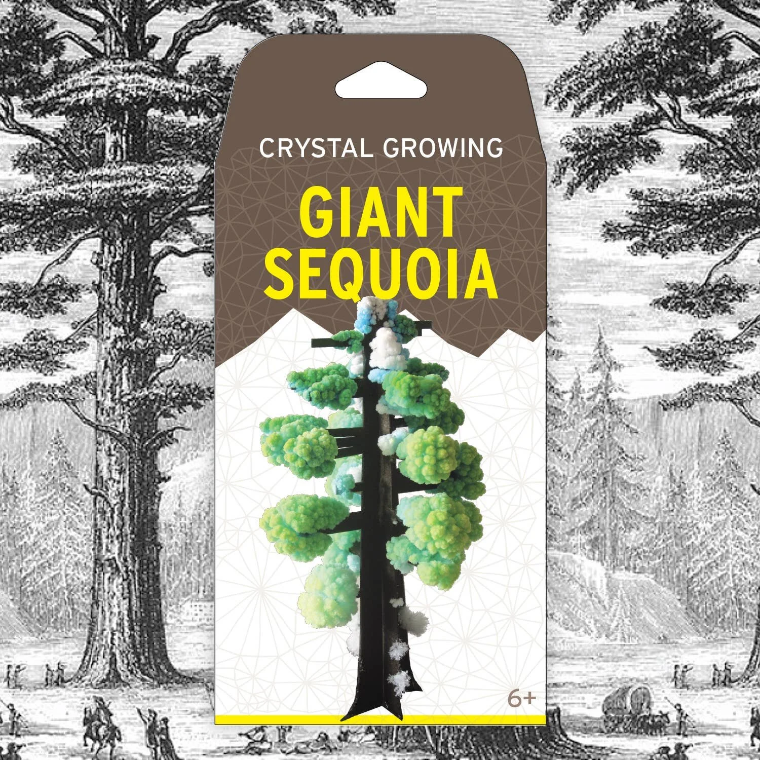 Crystal Growing Kit - Giant Sequoia