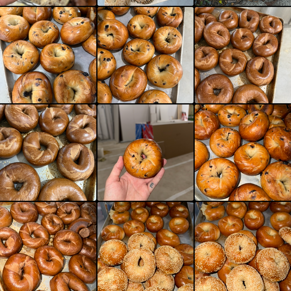 Various trays and a hand holding different types of bagels and baked goods, including plain, chocolate chip, and sesame seed bagels.
