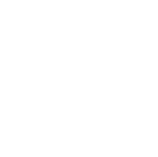 Ada