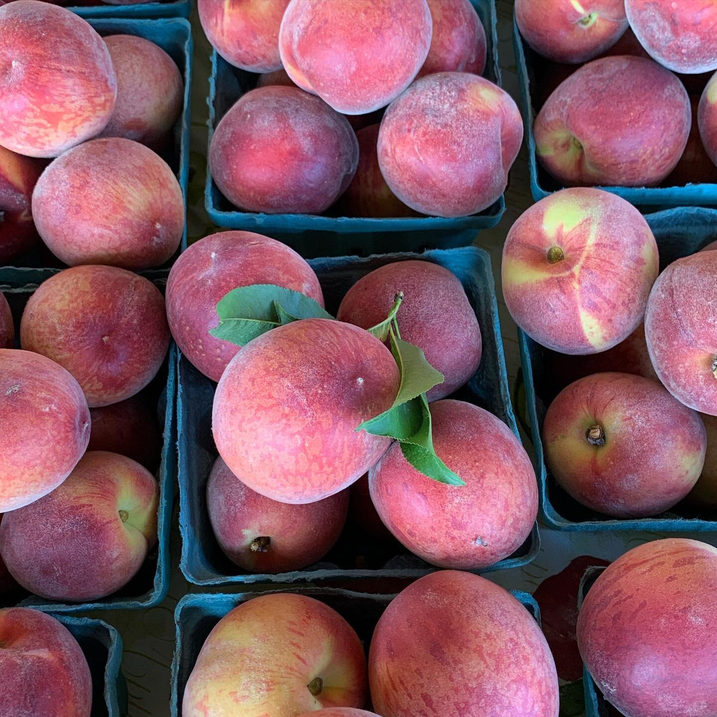 Peach season has started! We have fresh peaches available in our stand for $7 a quart. Peach cobbler is calling your name! 🍑🍑🍑🍑🍑