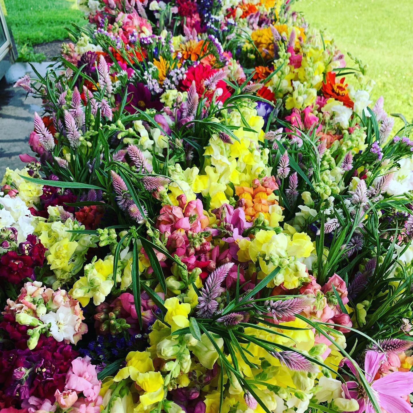 🌺🌺🌼🌻🌼🌸🌺🌺🌸🌼FRIDAY FLOWER DAY is almost here!  Starting at 9 a.m. will will have beautiful bunches of fresh cut flowers available for just $5 a bunch!!