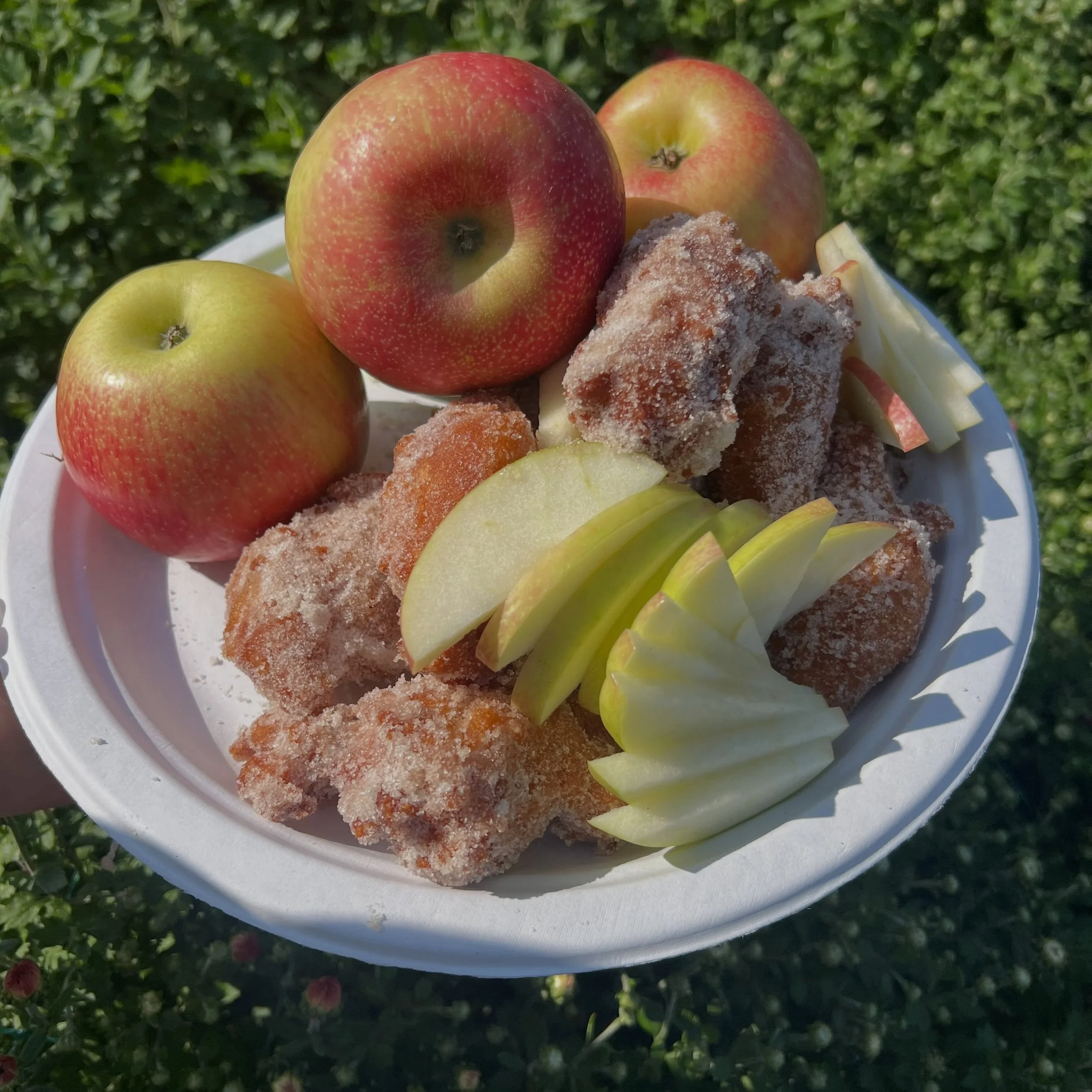 There&rsquo;s a crisp in the air&hellip; honey crisp that is!!! Beginning TOMORROW, August 28th, we will be serving up Honey Crisp Apple Fritters and will have Pick-Your-Own Honey Crisp!! We will be serving lunch between 11 &amp; 3 and fritters betwe