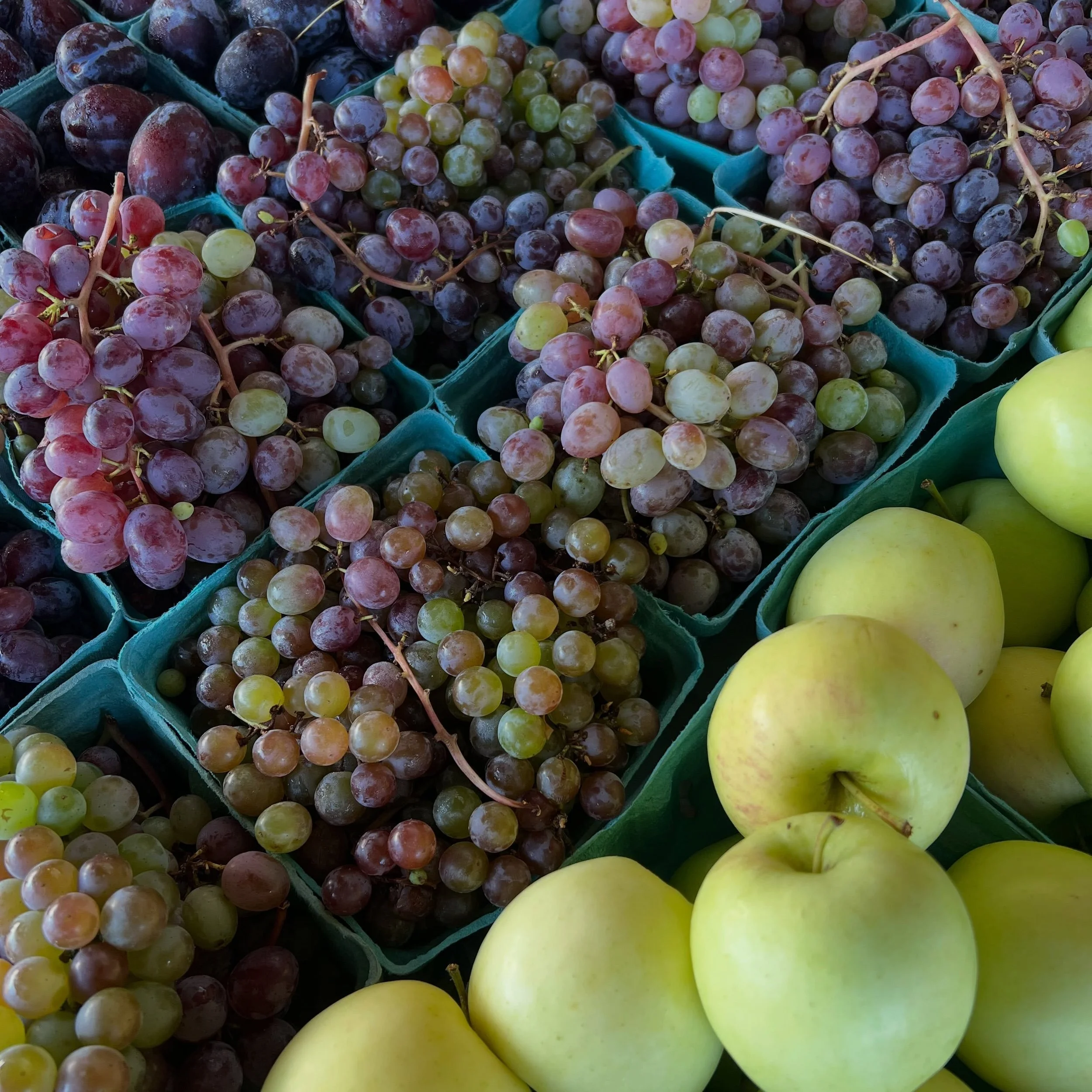 Our tables are LOADED with farm fresh produce including&hellip;
&bull;Tomatoes 🍅 
&bull;Grapes 🍇
&bull;Honey Crisp Apples 🍏 
&bull;Peaches 🍑
&bull;Blackberries
&bull;Blueberries 🫐
&bull;and much more!! 

Don&rsquo;t forget that we have Honey Cri
