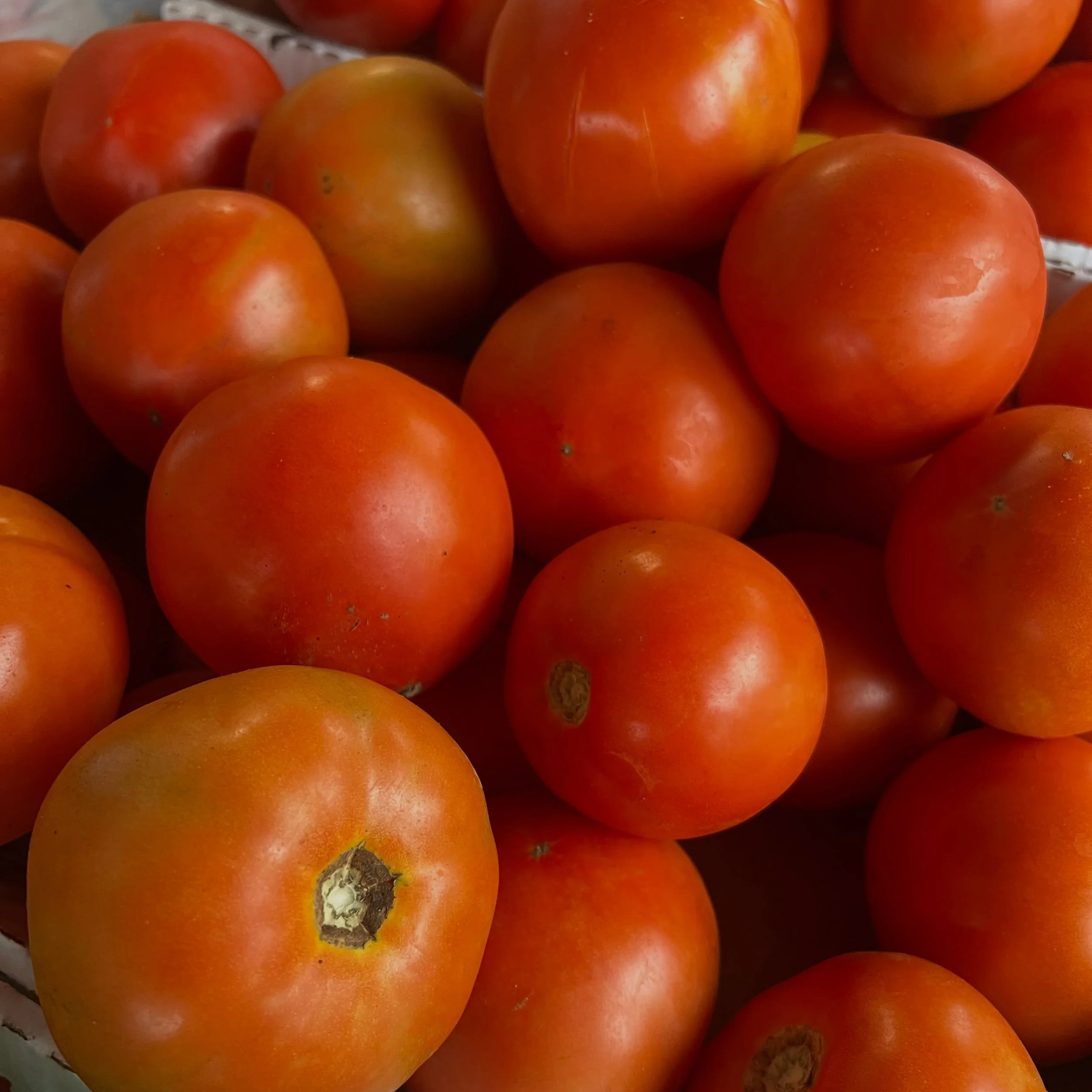 Happy September!! We have all the things you need to gear up for Labor Day weekend including: 
&bull;Farm Fresh Produce 🍅🫛🍑🍏
&bull;Prepared Meal Items (Macaroni Salad, Potato Salad, Carrot Pearl Couscous, &amp; more!) 🥕🥔
&bull;Baked goods 🥧🍪
