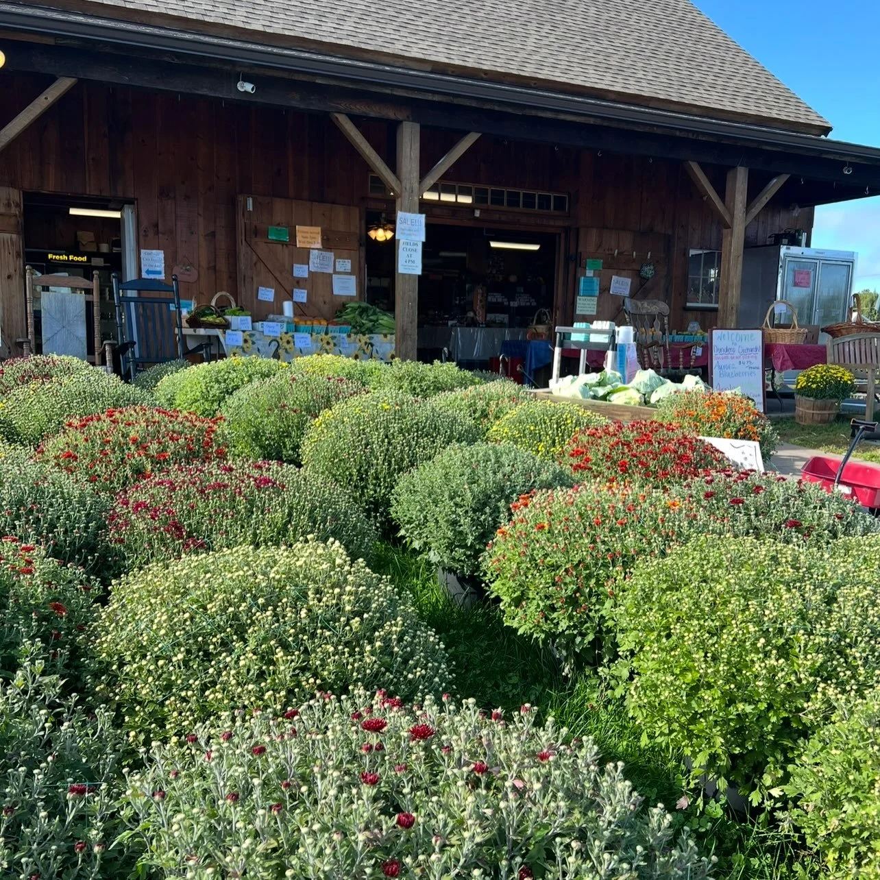 Happy Sunday!! It looks like it&rsquo;ll shape up to be a perfect day for apple picking! We are OPEN for breakfast 8:30-11:30 today &amp; lunch 12-3, 11-3 TOMORROW for LABOR DAY!!! We have farm fresh produce, fresh baked pies, prepared meal items, lu