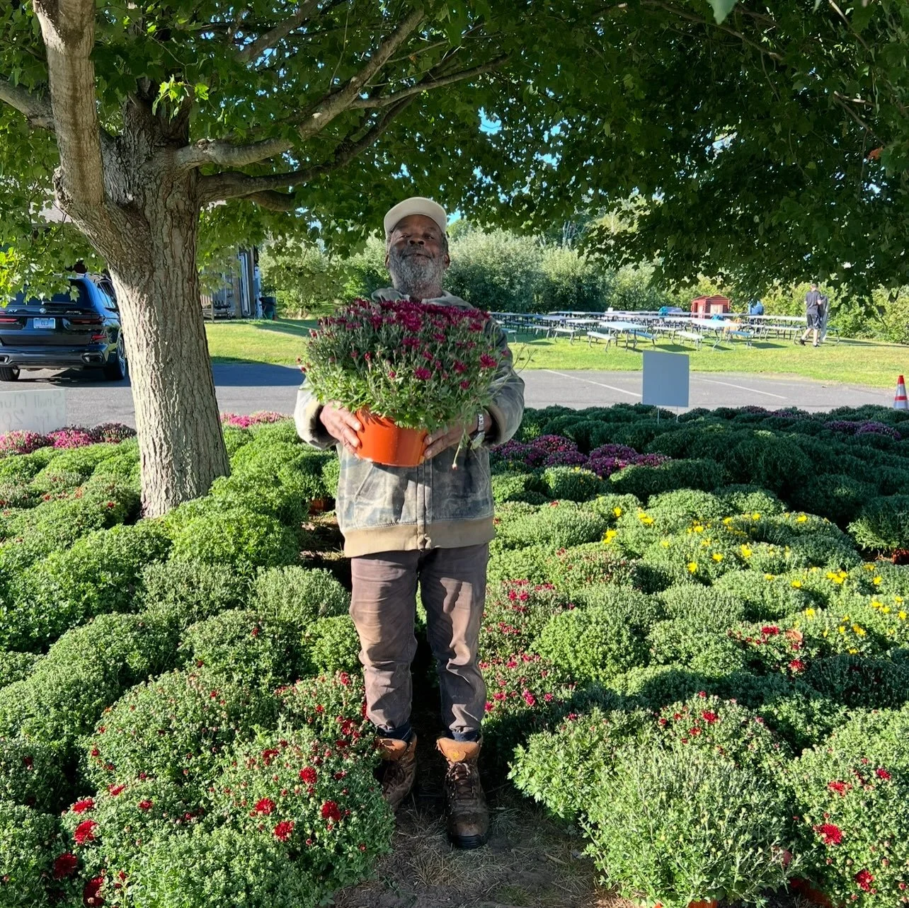 Happy Thursday!! The case is full of delicious fall favorites, our lawn is full of beautiful mums &amp; pumpkins, lunch is served 11-3 with apple fritters served 9-3! See you all soon!! 🎃🍎🍁🍏☀️🍂