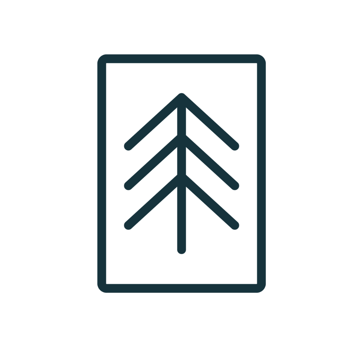 The Pines