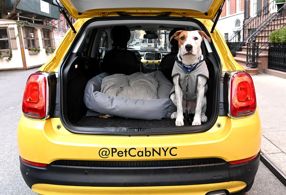 Pet Cab NYC