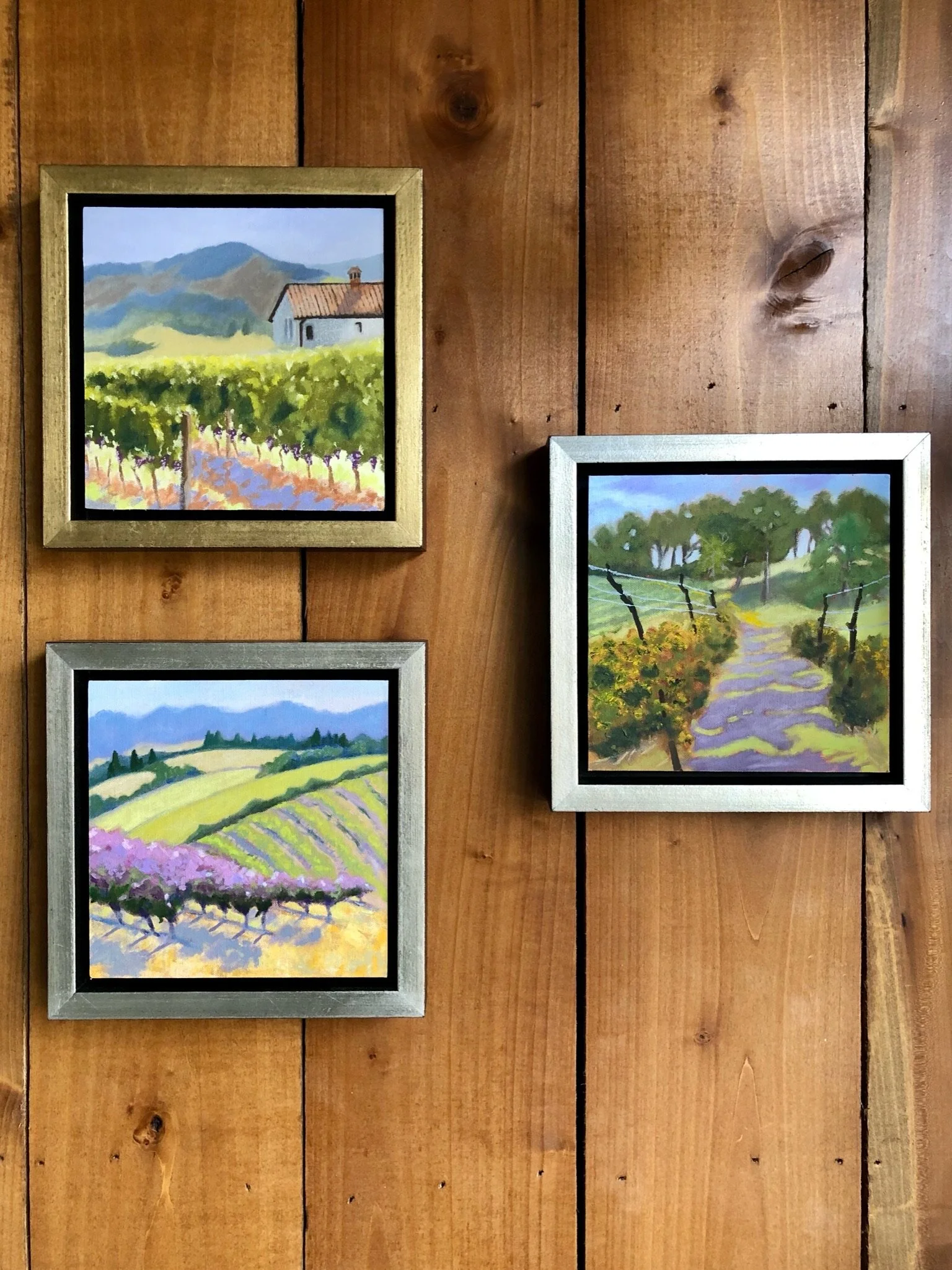 Vineyards