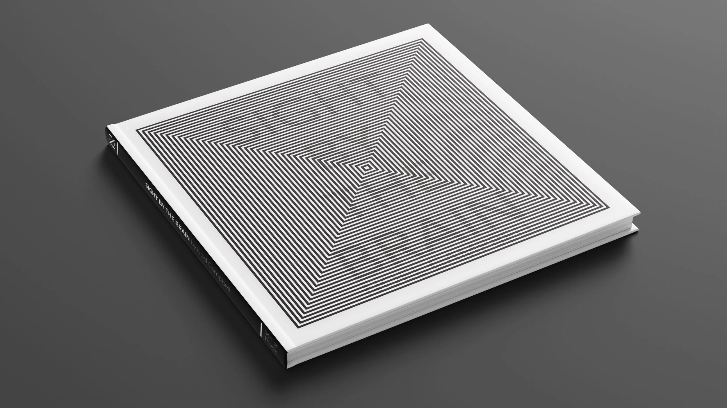Sight by the brain
