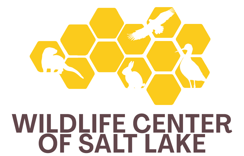 Wildlife Center of Salt Lake