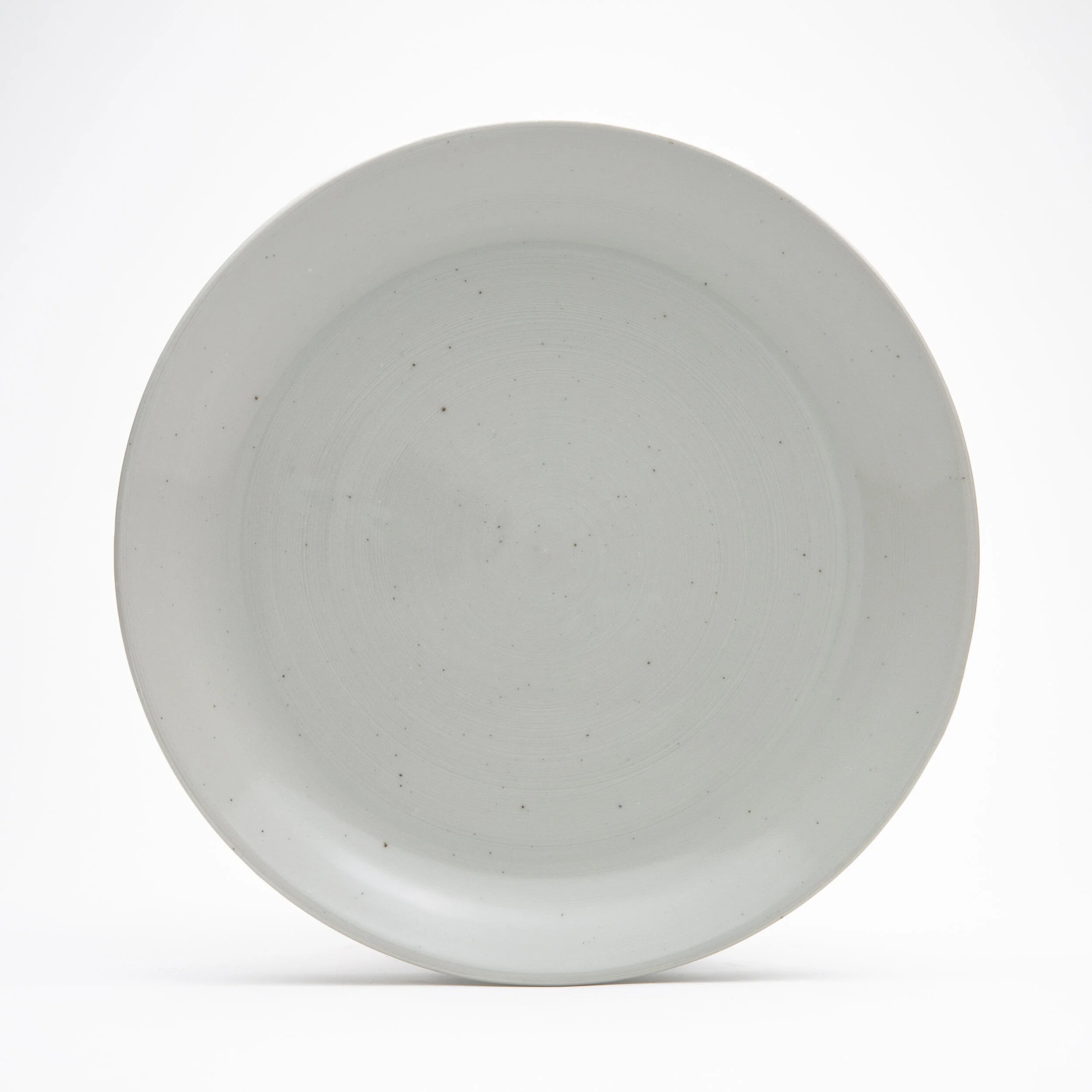 Lg flat plate mist.jpg