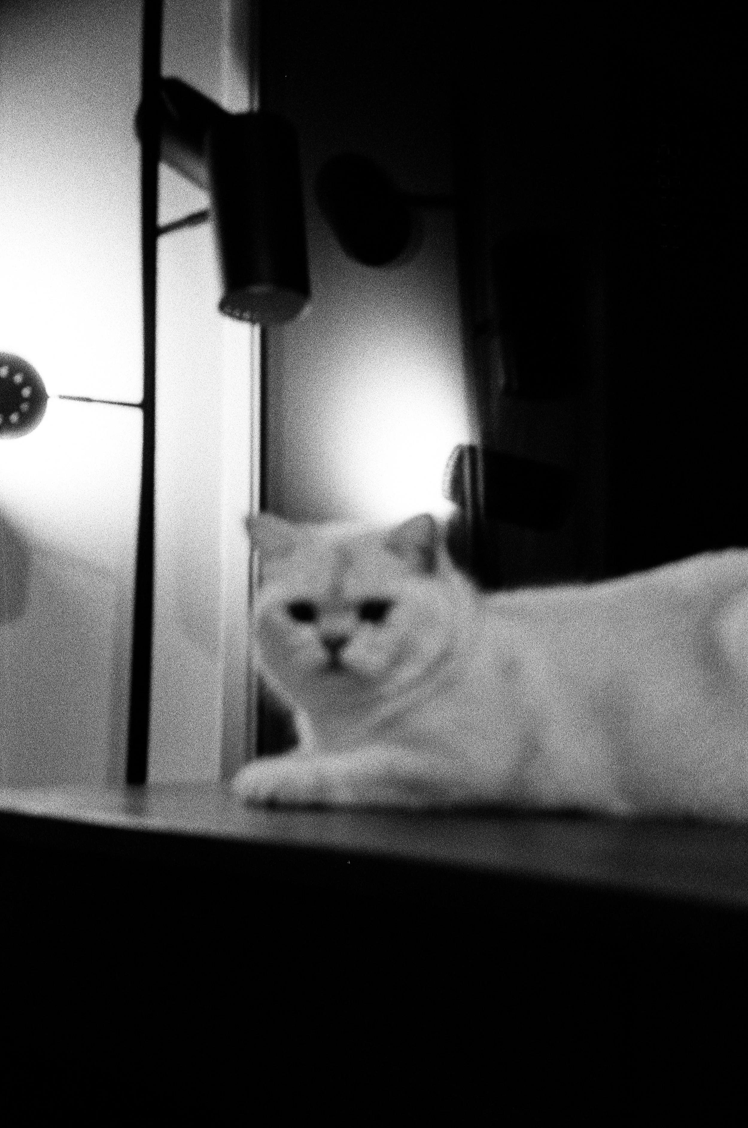 film 14.jpg