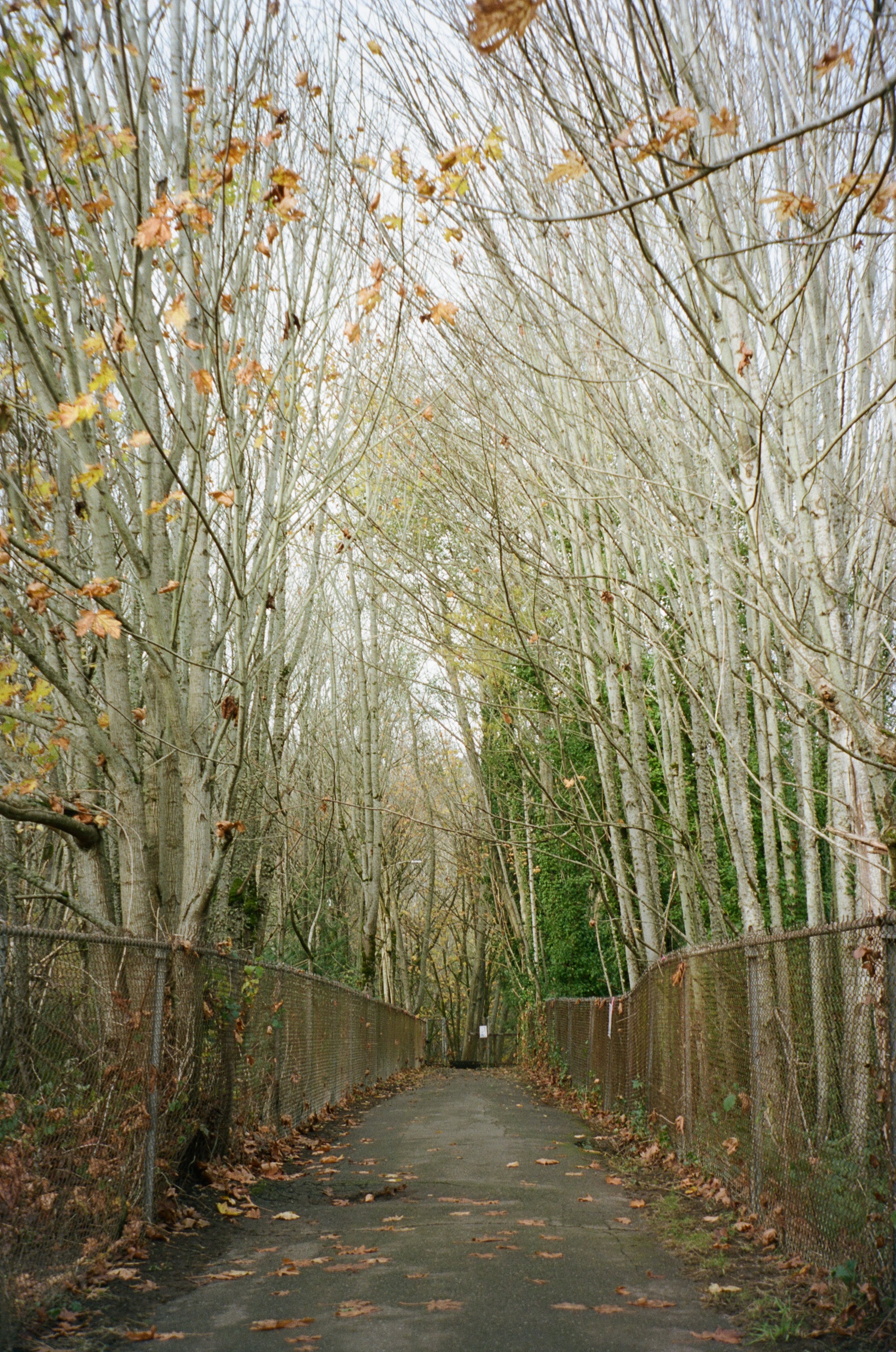 film 20.jpg