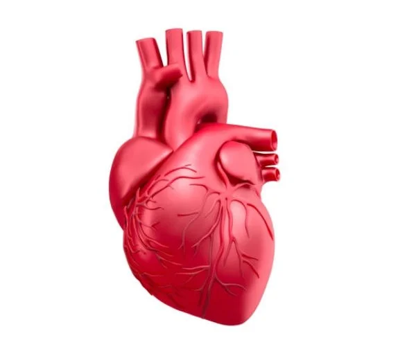 7 Kiat Merawat Jantung & Pembuluh Darah