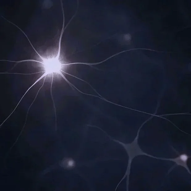 A close-up image of a neuron with its cell body and long, thin dendrites extending outward, set against a dark background.