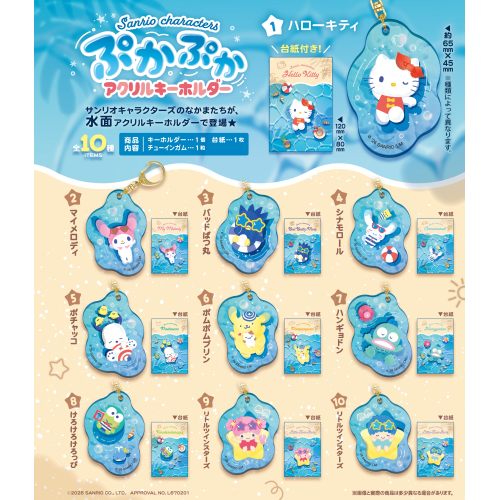 Sanrio Characters Floating Acrylic Keychain