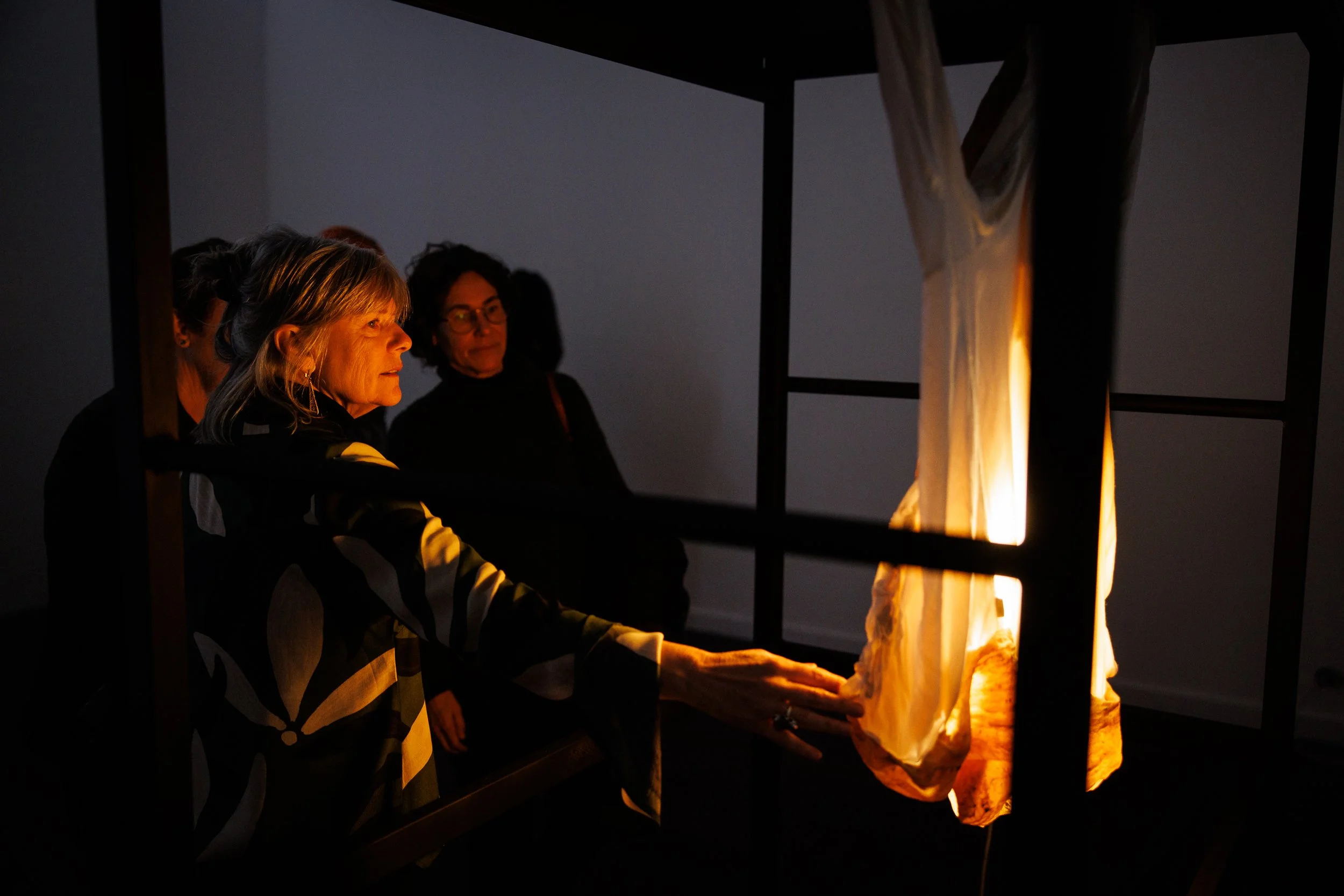 ARTIST TALKS // Gail Hocking & Emilija Kasumovic