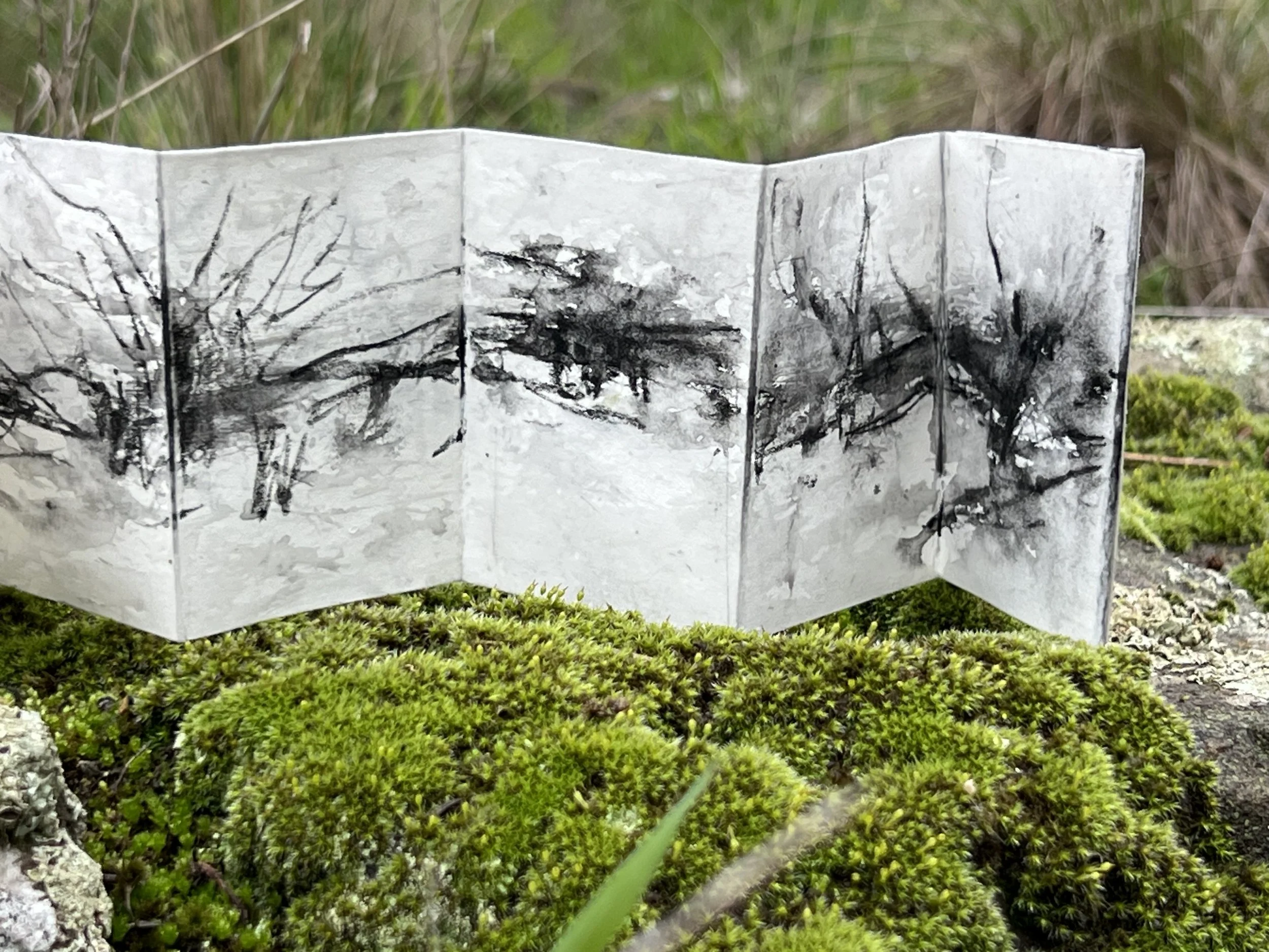 EXHIBITION OPENING // Shenshen Zheng / Lucy Zola