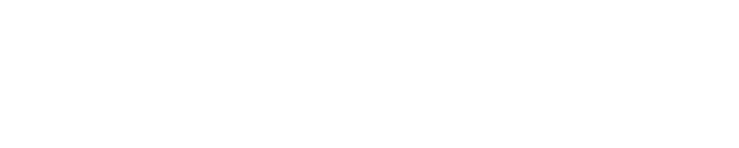 TEAM MOMENTUM 