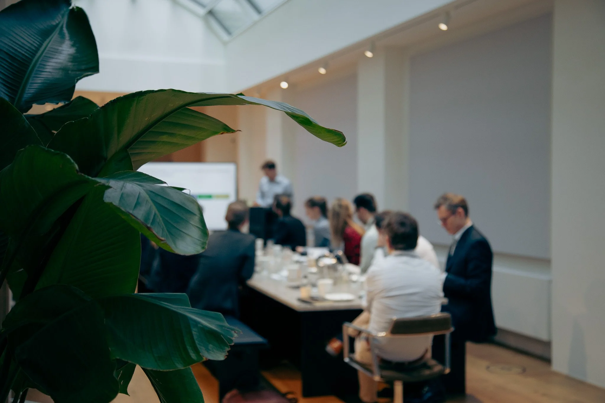 A large green plant with broad leaves in the foreground. In the background, a group of people are seated at a long table in a modern, well-lit room, possibly attending a meeting or conference.