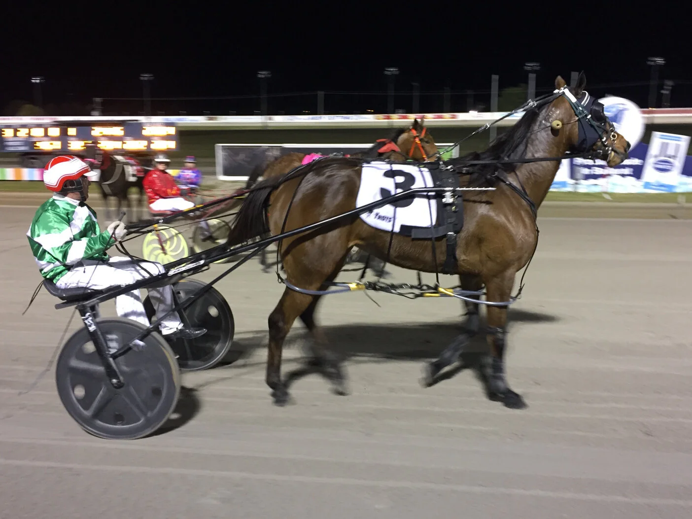 STEWARD, ALFORD DOMINATING BRAY RACEWAY
