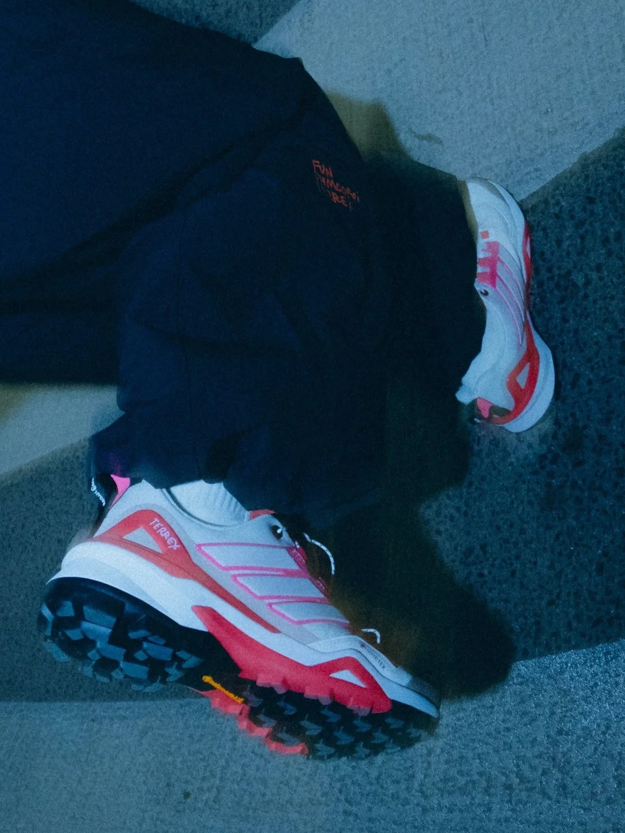 BLUE TOMATO | Adidas Terrex