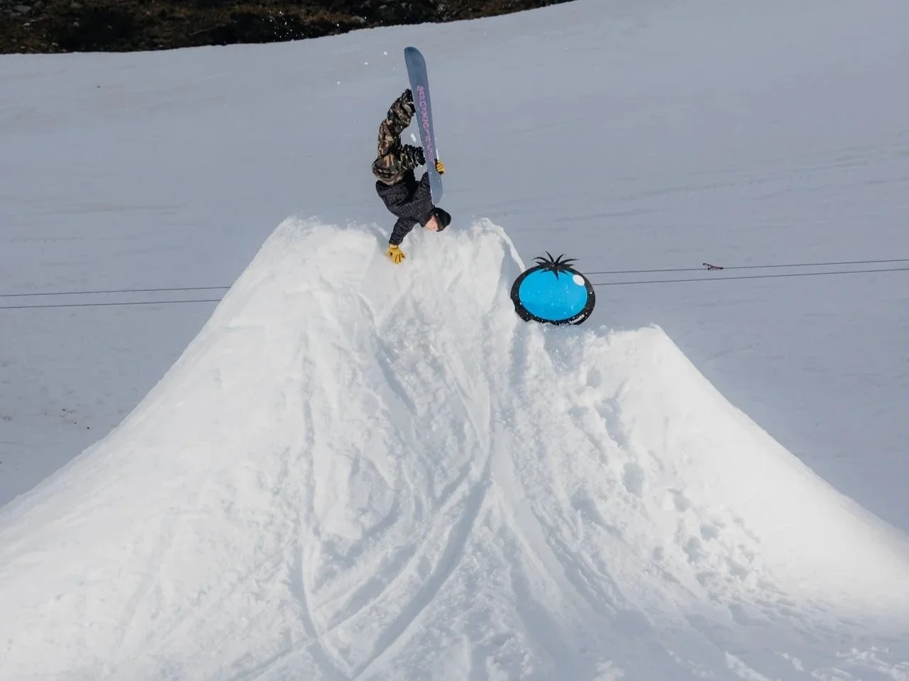 BLUE TOMATO | Team Gathering 2025