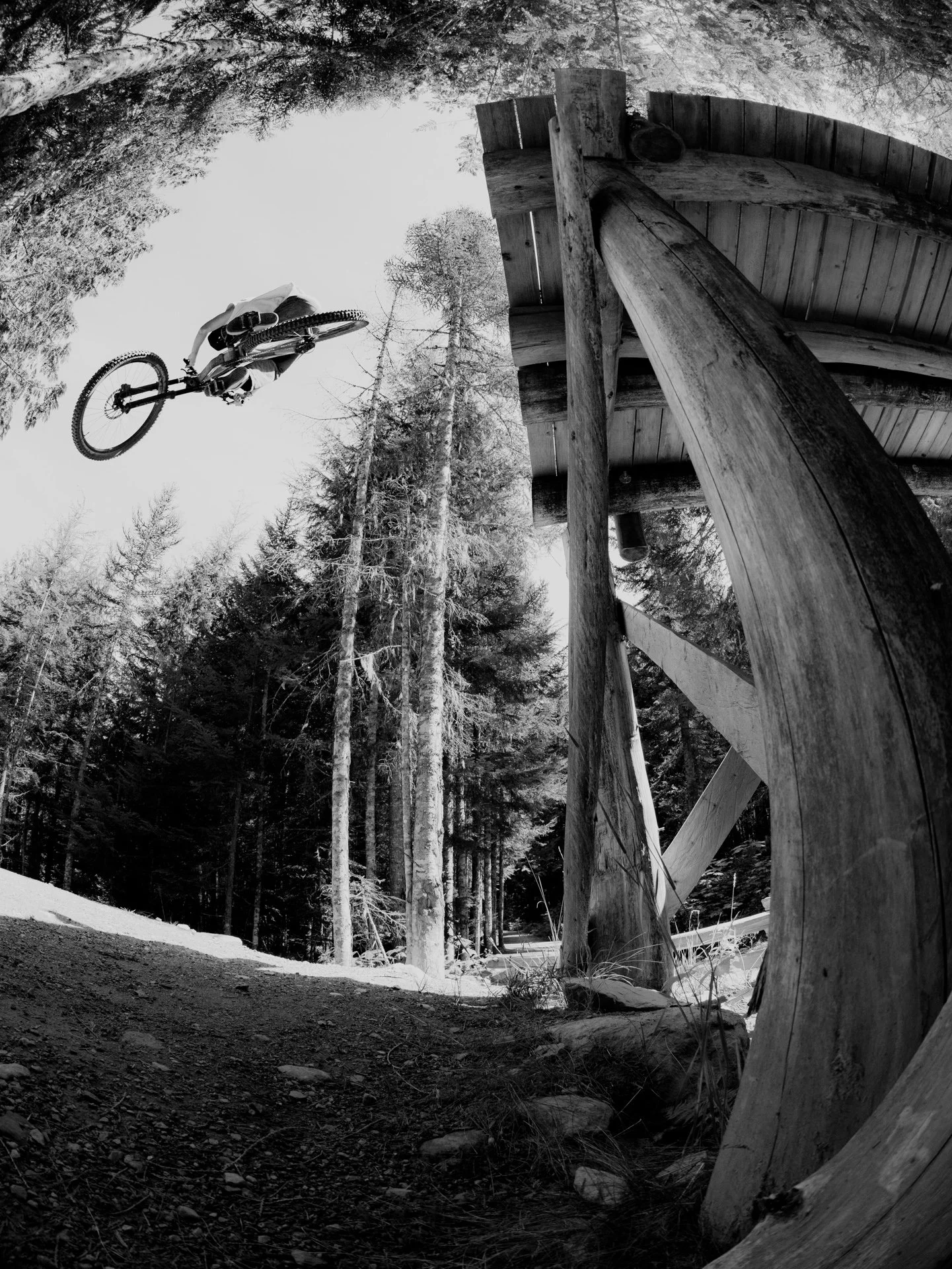 _Rose Bikes Home into the unknown_Hannes Mautner_065A1273.jpg