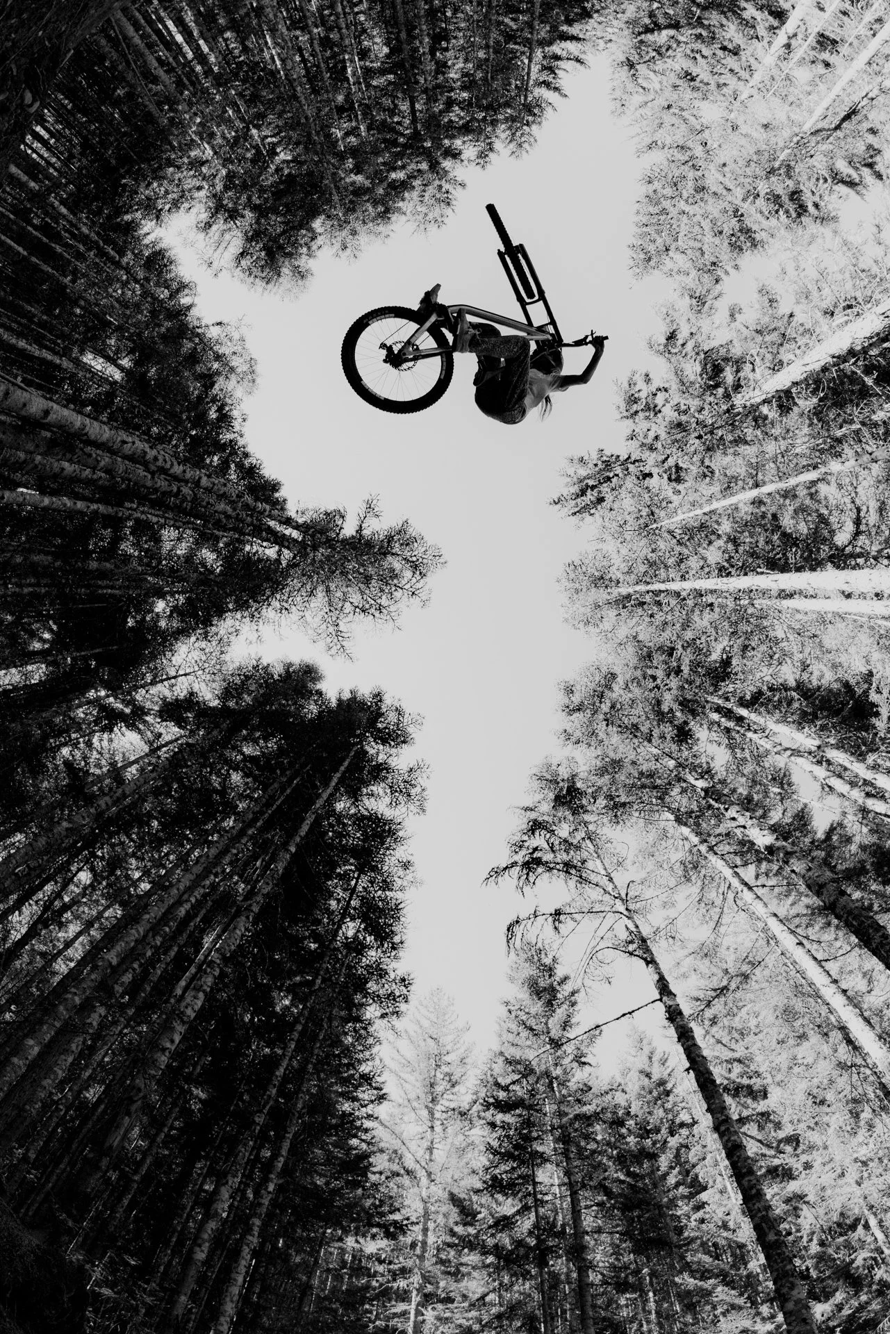 ROSE BIKES | Home into the unknown