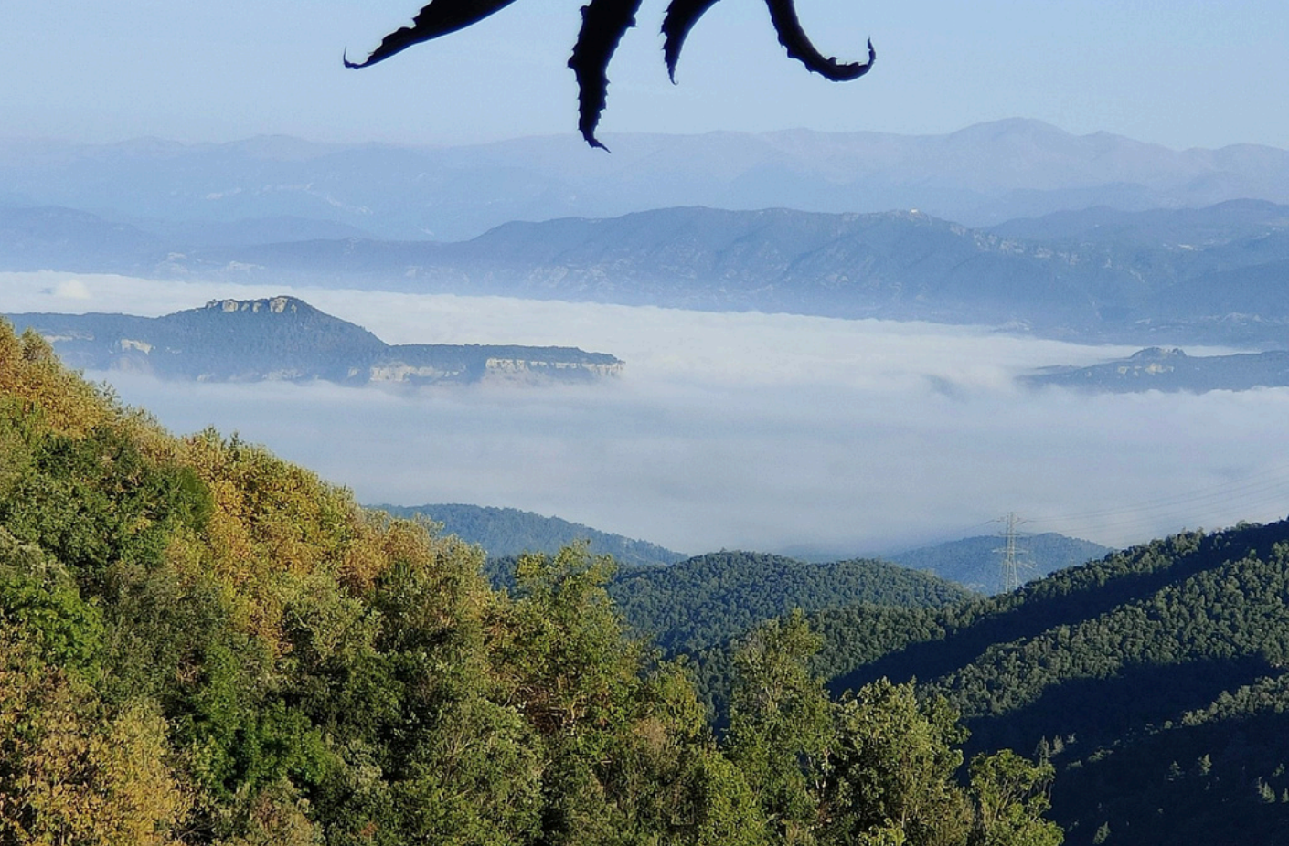 Captura de pantalla 2026-02-16 a las 11.42.08.png