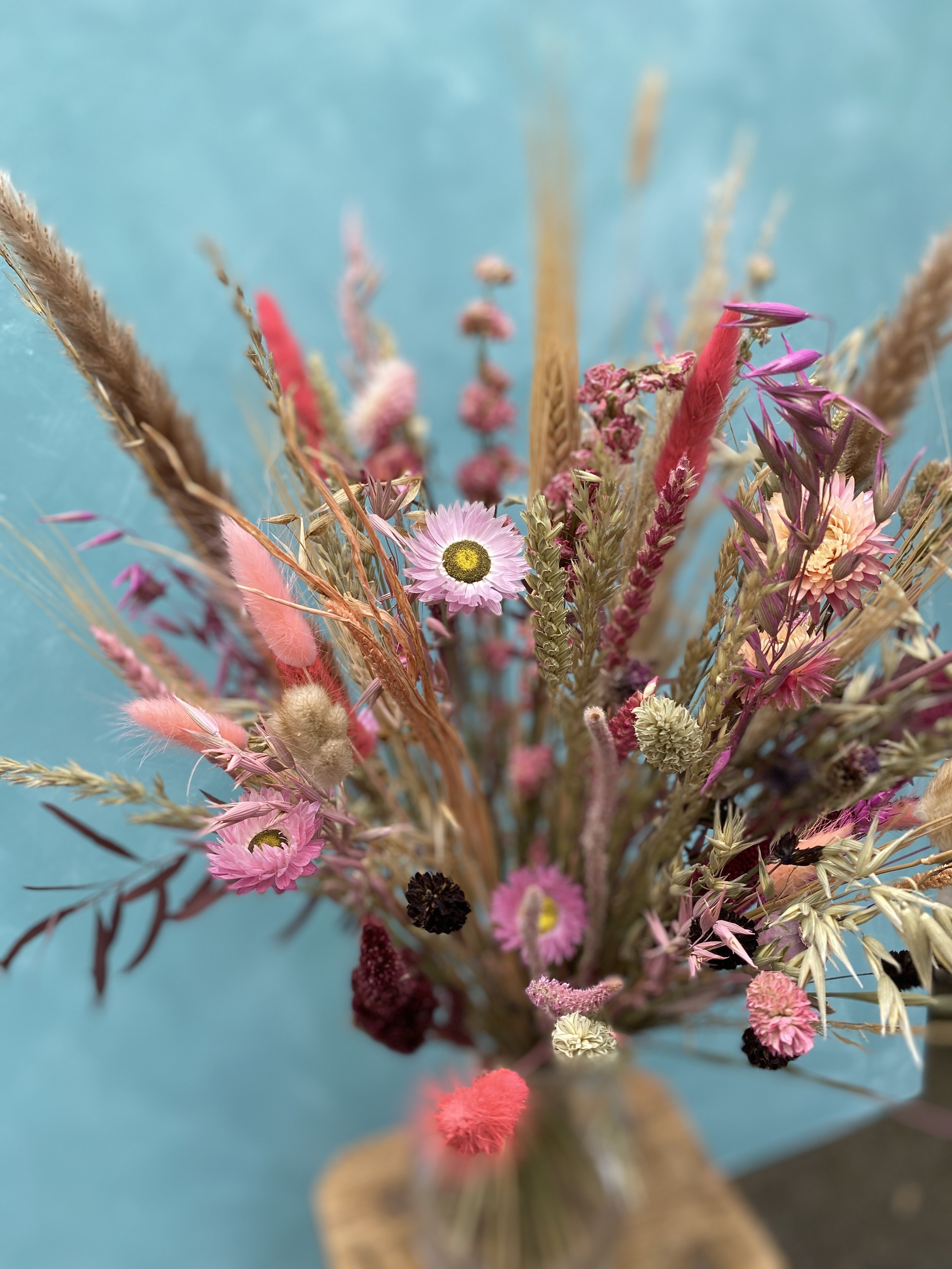 14750AB2-28F4-4DA7-B46E-90F360B9A0B8.jpeg